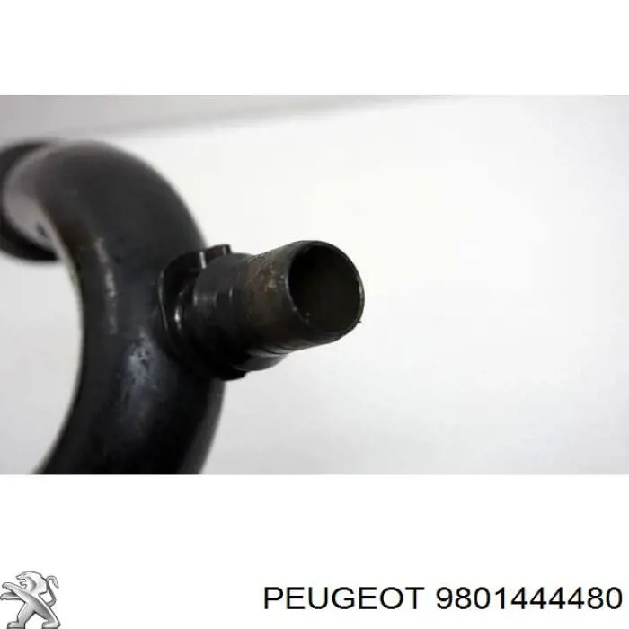 Do koszyka 9801444480 Peugeot/Citroen Przewód (króciec) układu chłodzenia