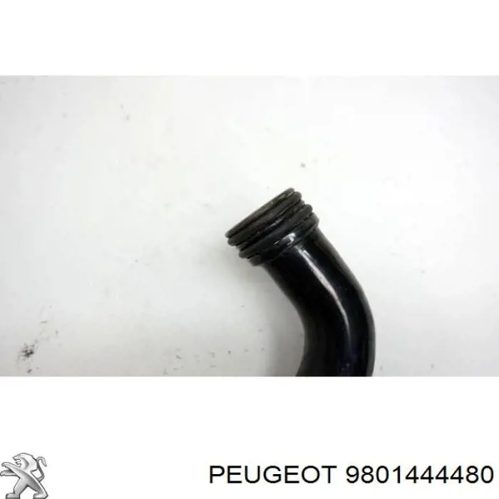 9801444480 Peugeot/Citroen Przewód (króciec) układu chłodzenia