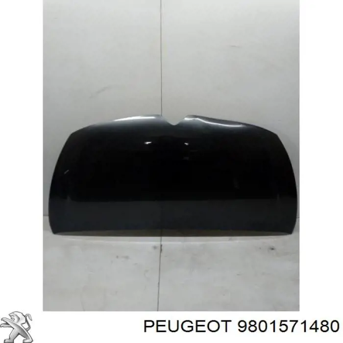 9801571480 Peugeot/Citroen Maska silnika