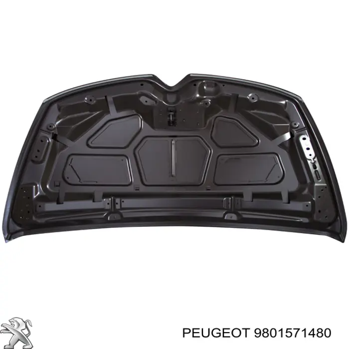 Do koszyka 9801571480 Peugeot/Citroen Maska silnika