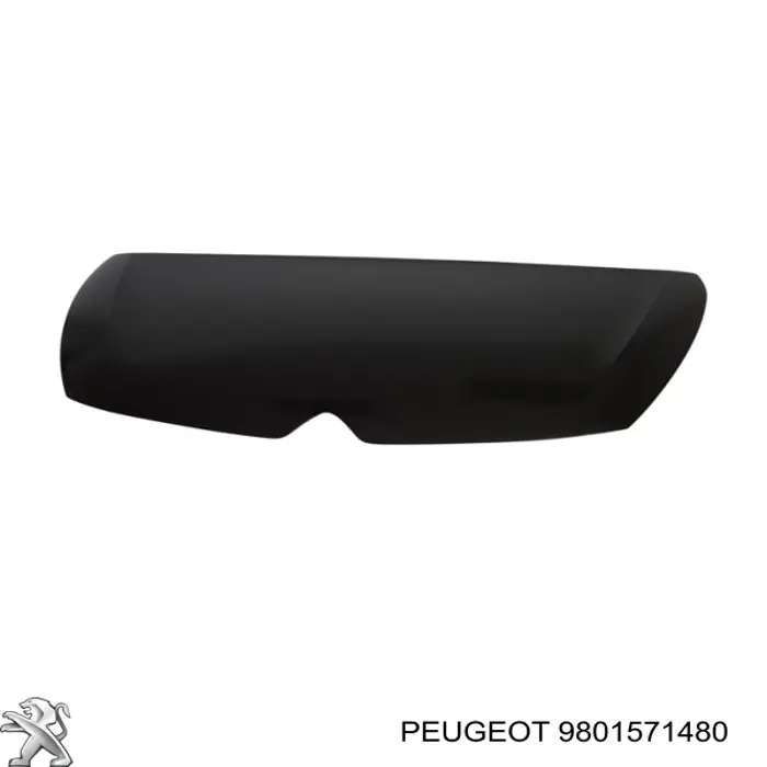 Do koszyka 9801571480 Peugeot/Citroen Maska silnika