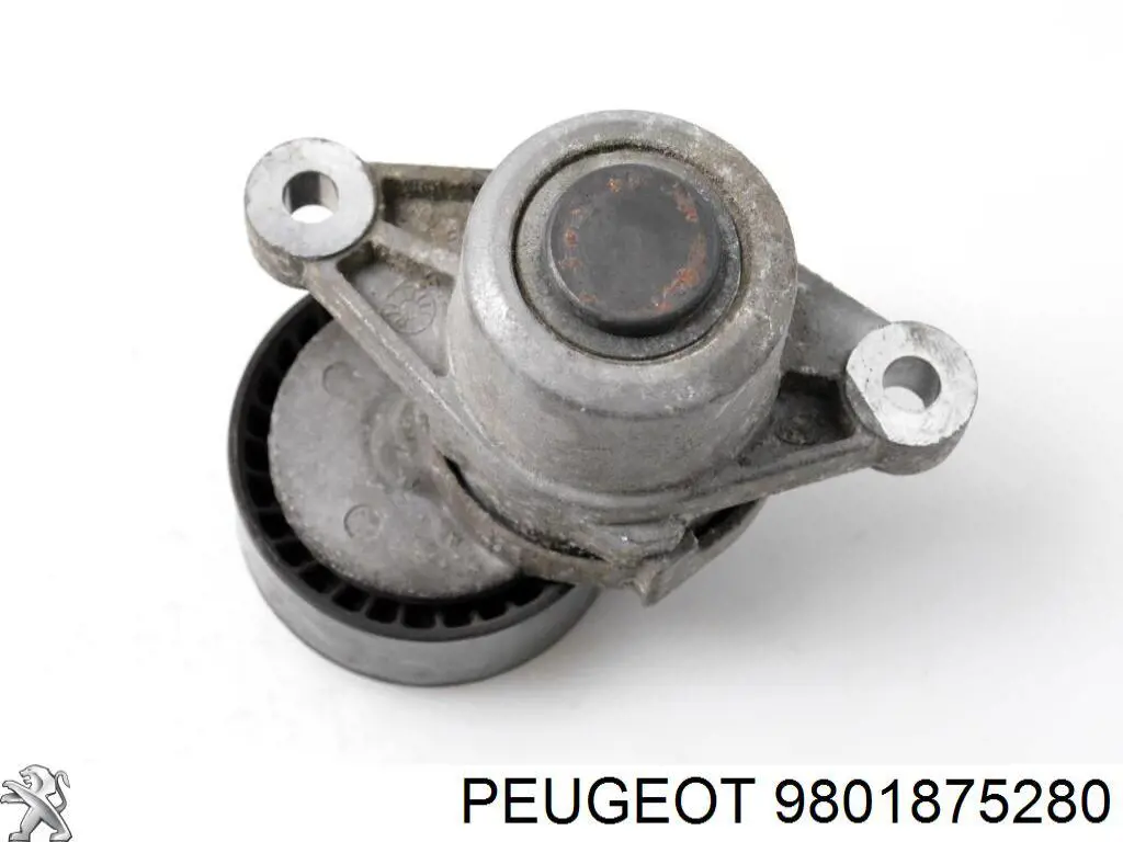 Do koszyka 9801875280 Peugeot/Citroen Napinacz paska napędowego