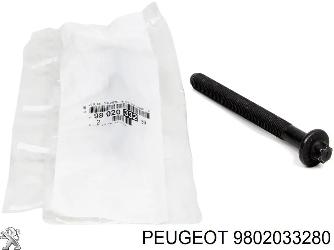 9802033280 Peugeot/Citroen Śruba głowicy cylindrów