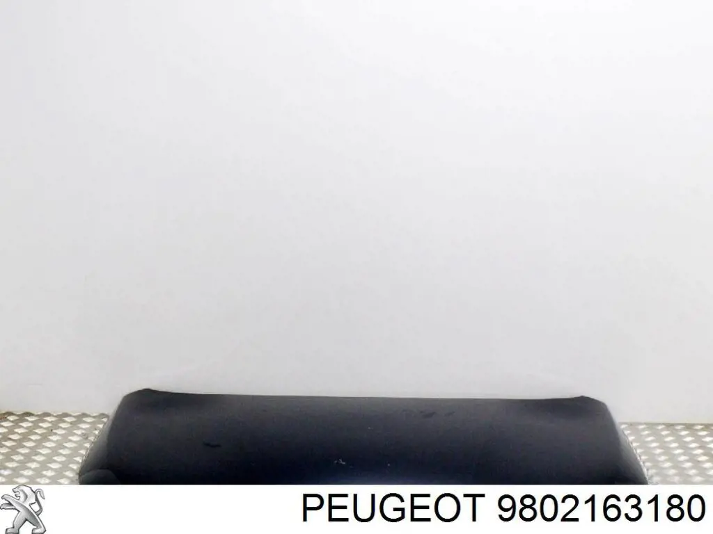 Do koszyka 9802163180 Peugeot/Citroen Maska silnika