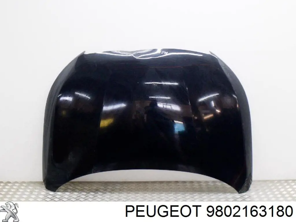 Maska silnika Peugeot/Citroen 9802163180 cena, od 467,17 USD