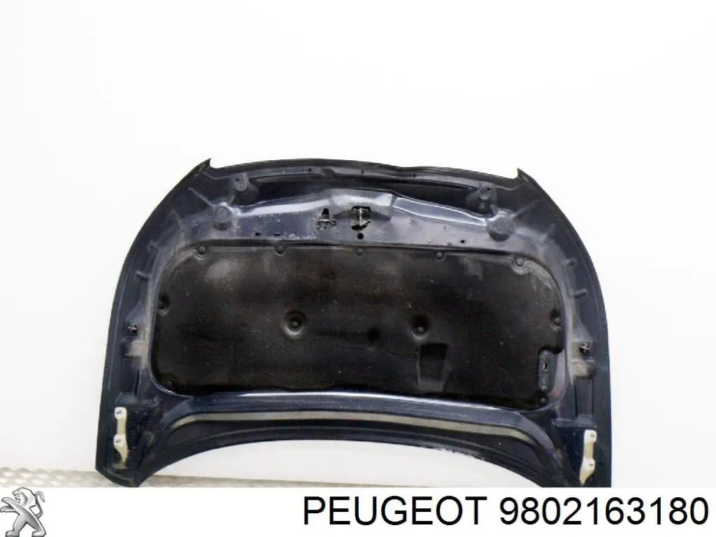 Maska silnika Peugeot/Citroen 9802163180