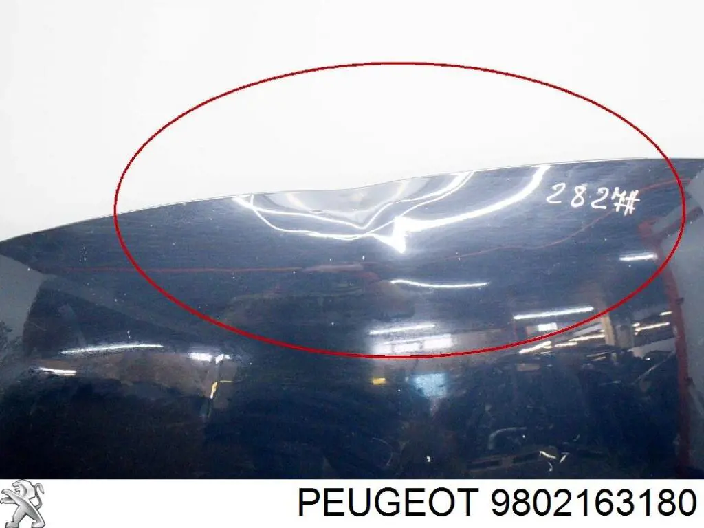 9802163180 Peugeot/Citroen Maska silnika