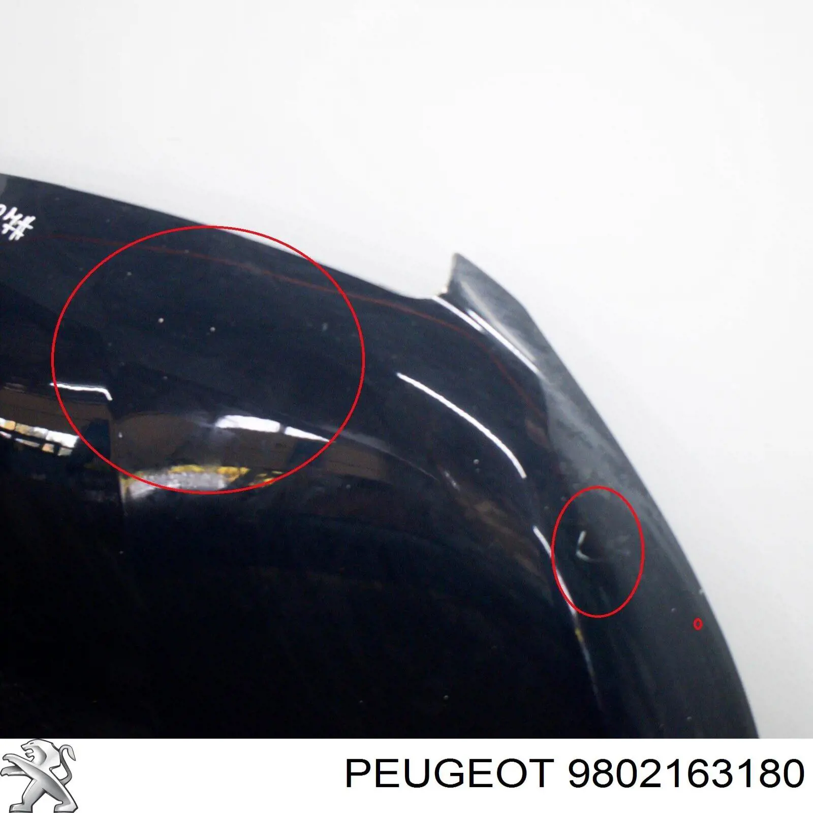 Maska silnika Peugeot/Citroen 9802163180 cena, od 467,17 USD