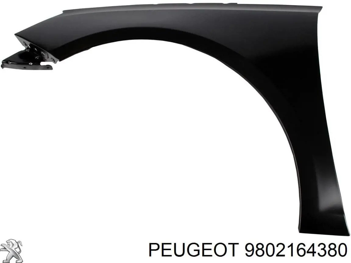 9802164380 Peugeot/Citroen Błotnik przedni lewy