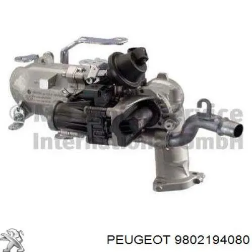 9802194080 Peugeot/Citroen Chłodnica układu recyrkulacji spalin EGR