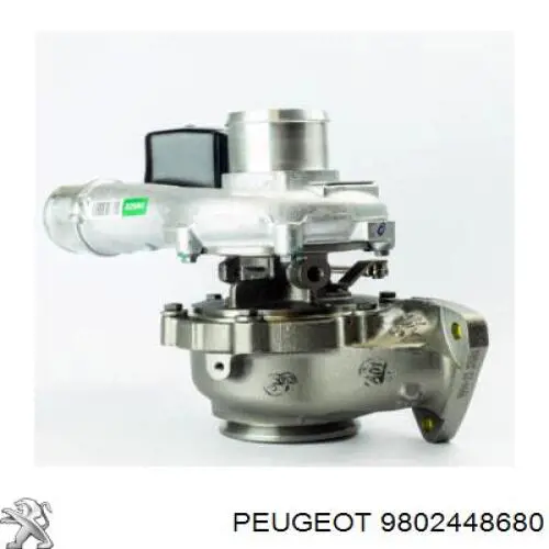 Wtryskiwacz paliwa 9802448680 Peugeot/Citroen