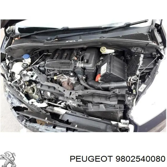 Pompa wtryskowa wysokiego ciśnienia Peugeot/Citroen 9815930180 cena, od 199,26 USD