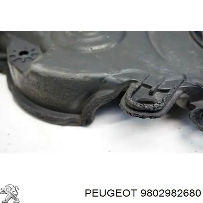 9802982680 Peugeot/Citroen 