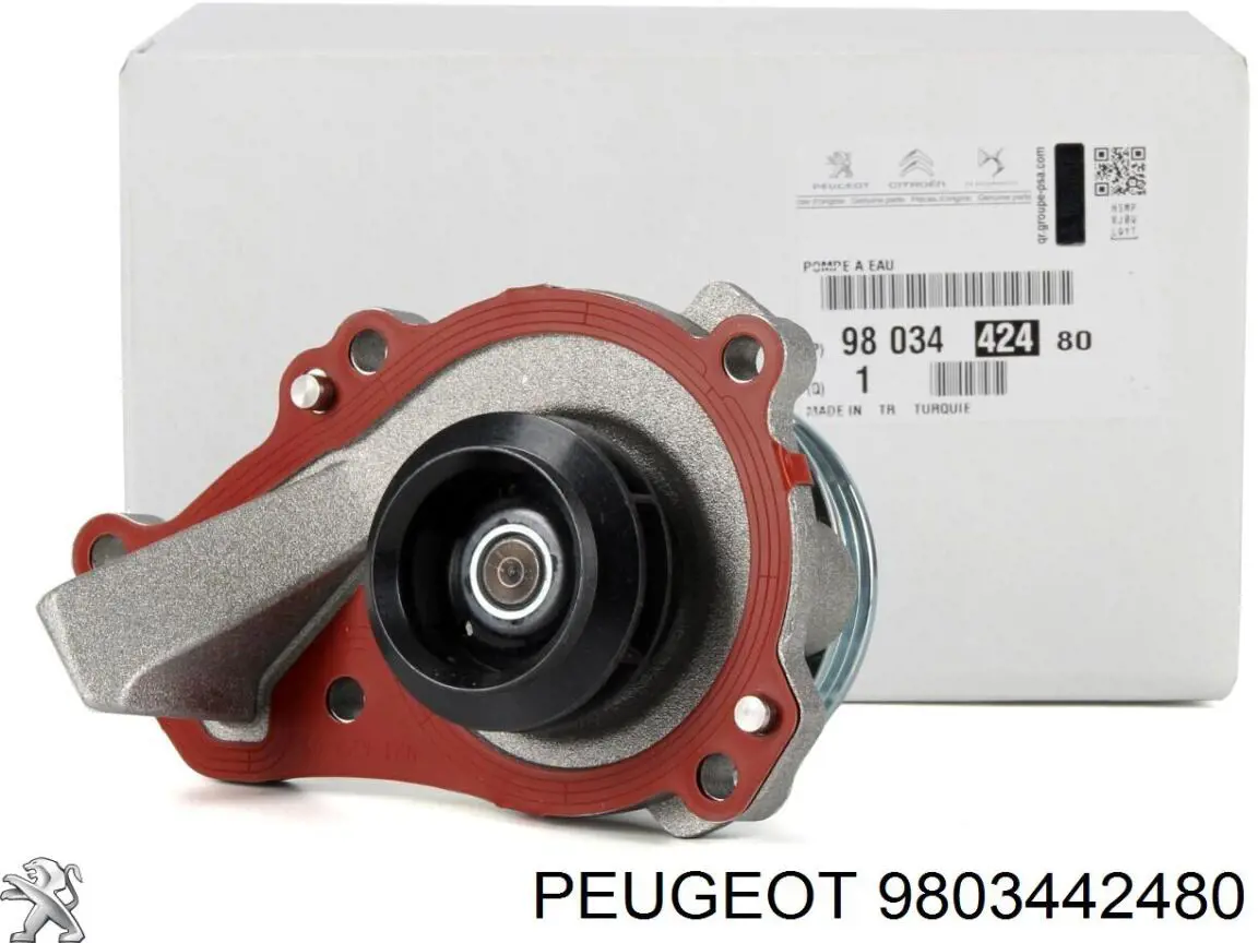 Do koszyka 9803442480 Peugeot/Citroen Pompa chłodząca wodna