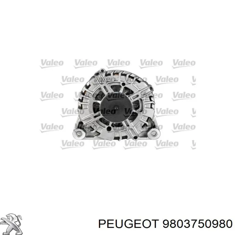 Do koszyka 9803750980 Peugeot/Citroen Alternator