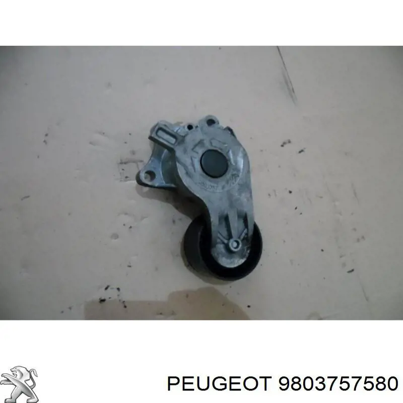 Do koszyka 9803757580 Peugeot/Citroen Napinacz paska napędowego