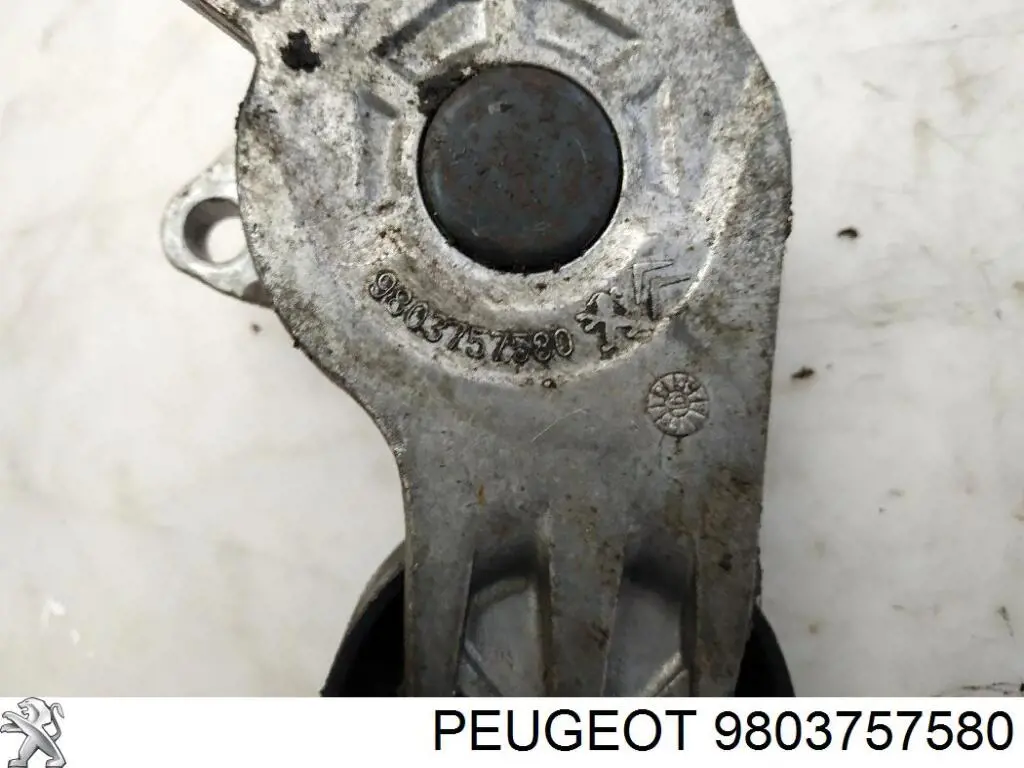 9803757580 Peugeot/Citroen Napinacz paska napędowego