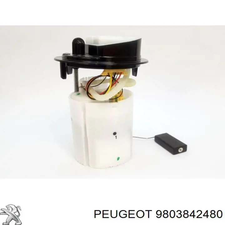 9803842480 Peugeot/Citroen Moduł pompy paliwowej z czujnikiem poziomu paliwa