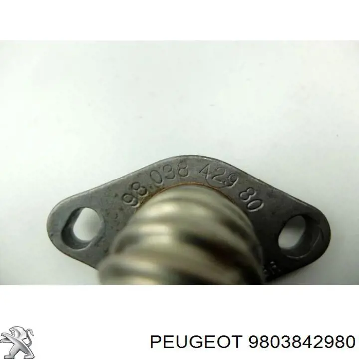 Do koszyka 9803842980 Peugeot/Citroen Króciec układu recyrkulacji spalin