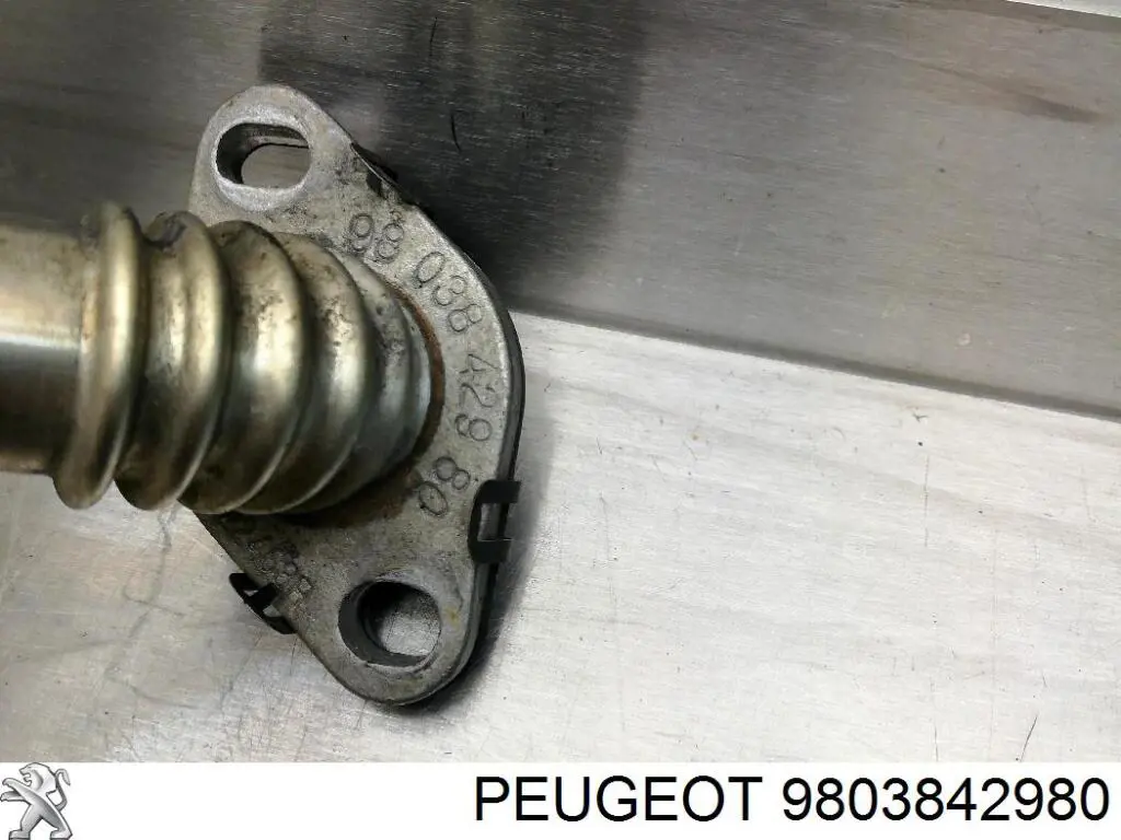 9803842980 Peugeot/Citroen Króciec układu recyrkulacji spalin