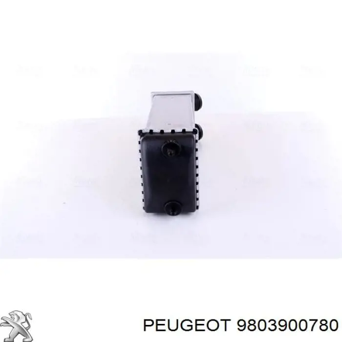 Chłodnica intercoolera Peugeot/Citroen 9803900780