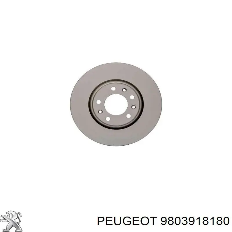 Do koszyka 9803918180 Peugeot/Citroen Tarcza hamulcowa przednia