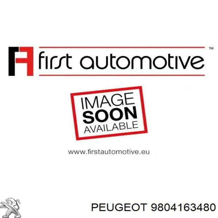 Do koszyka 9804163480 Peugeot/Citroen Filtr kabiny