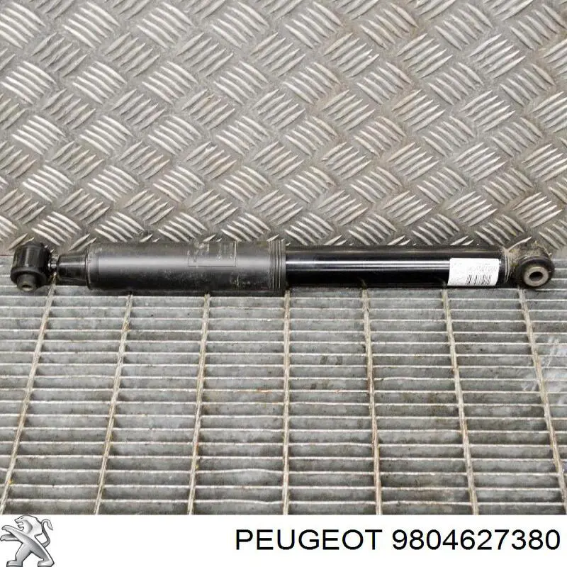 9804627380 Peugeot/Citroen 