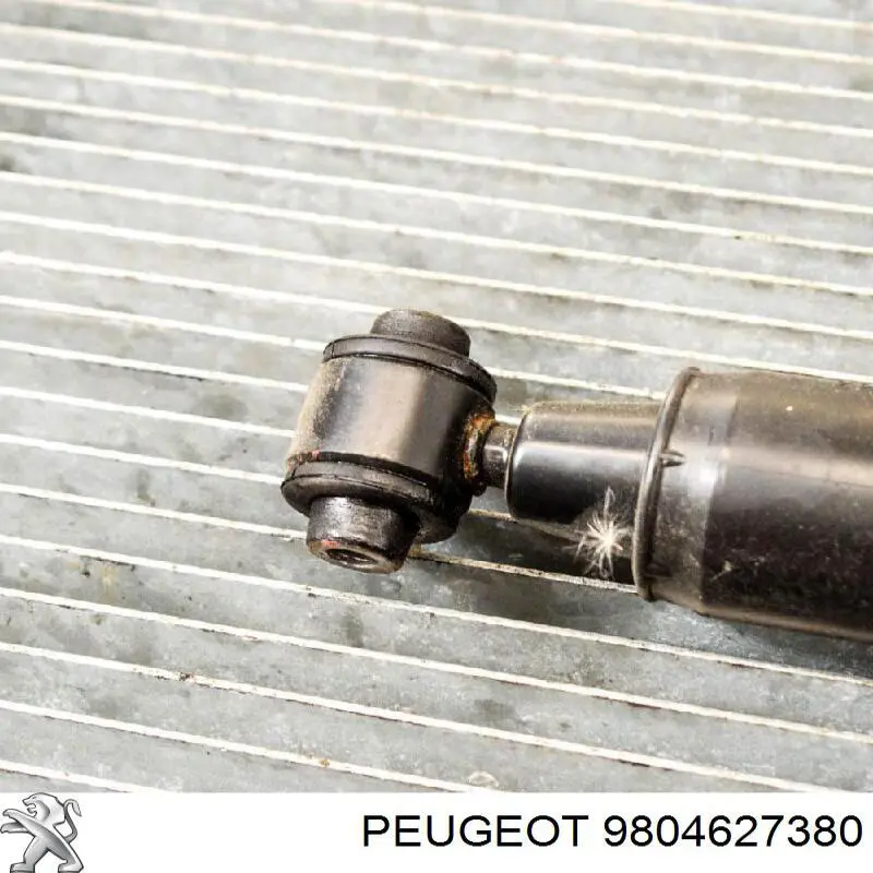 Do koszyka 9804627380 Peugeot/Citroen 