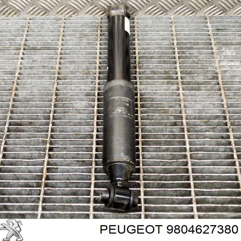 9804627380 Peugeot/Citroen 