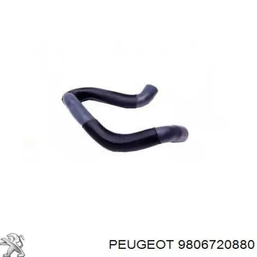 9806720880 Peugeot/Citroen przewód (króciec intercoolera górny)