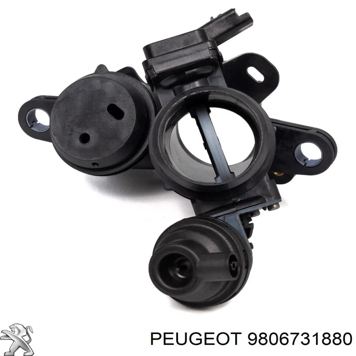 Do koszyka 9806731880 Peugeot/Citroen Przepustnica, komplet