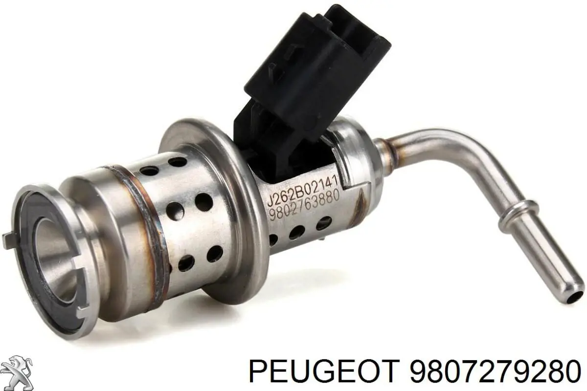 9807279280 Peugeot/Citroen Uszczelka filtra cząstek stałych przednia