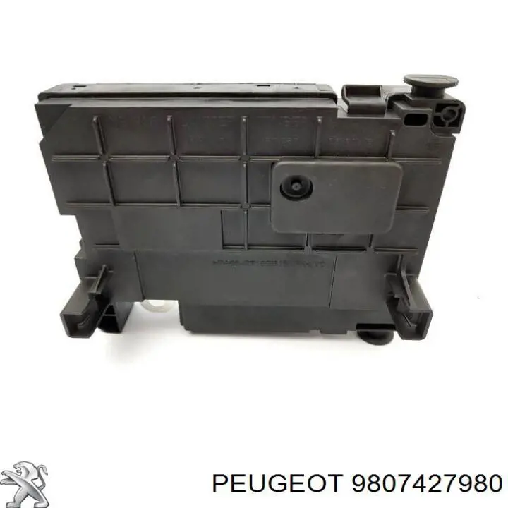 Do koszyka 9807427980 Peugeot/Citroen Skrzynka bezpieczników