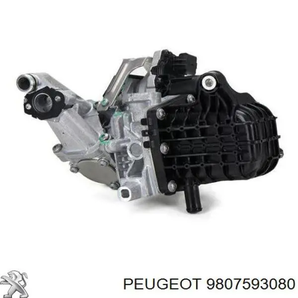  Peugeot/Citroen 9807593080