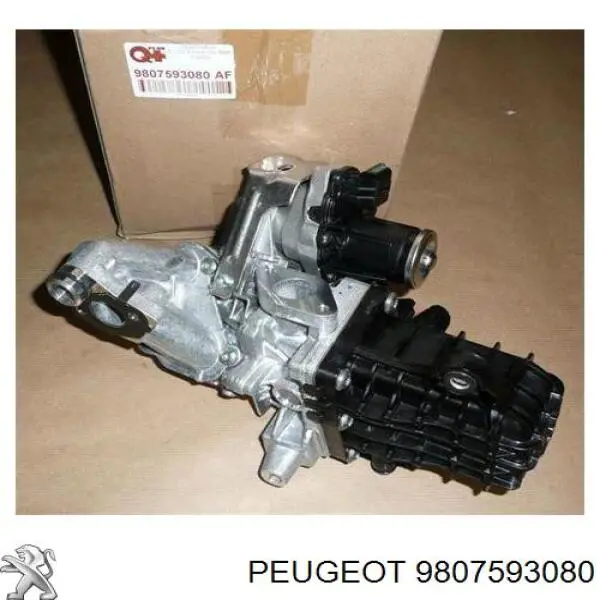 Do koszyka 9807593080 Peugeot/Citroen Zawór recyrkulacji spalin EGR
