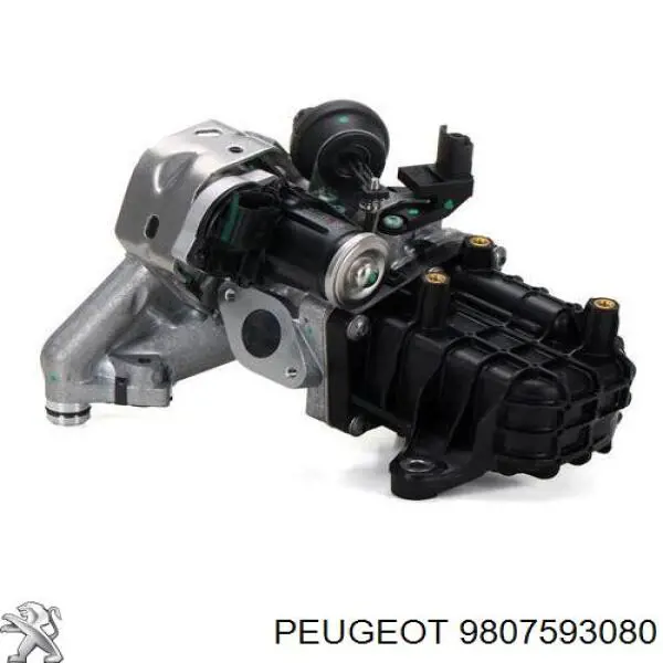 9807593080 Peugeot/Citroen Zawór recyrkulacji spalin EGR