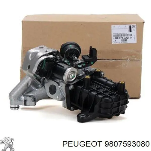 9807593080 Peugeot/Citroen Zawór recyrkulacji spalin EGR