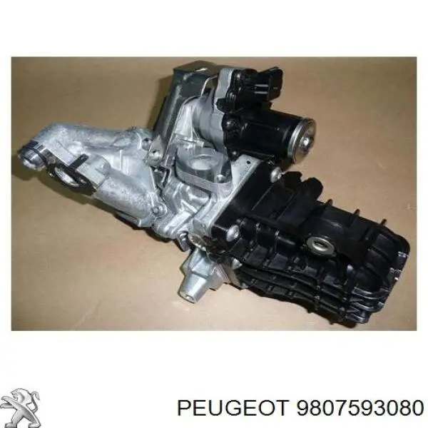 Zawór recyrkulacji spalin EGR Peugeot/Citroen 9807593080 cena, od 212,66 USD