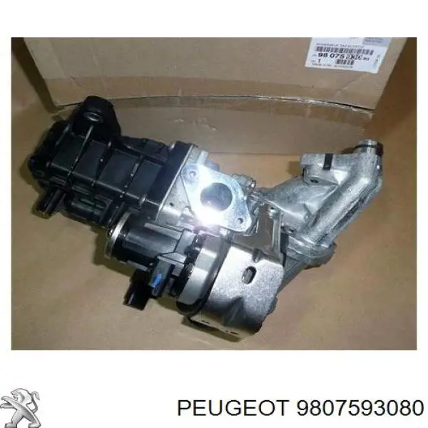 Do koszyka 9807593080 Peugeot/Citroen Zawór recyrkulacji spalin EGR