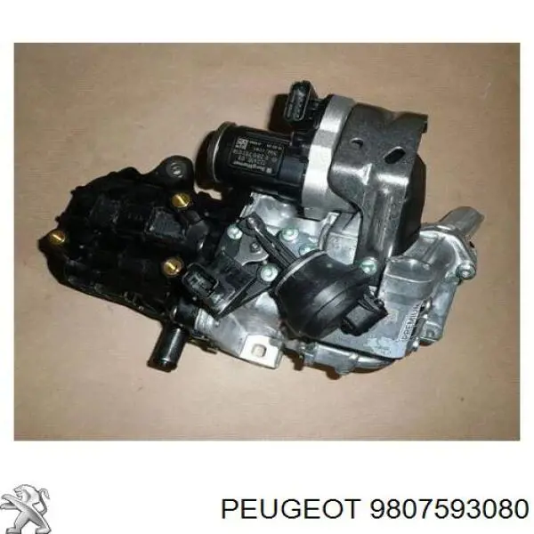 Do koszyka 9807593080 Peugeot/Citroen Zawór recyrkulacji spalin EGR