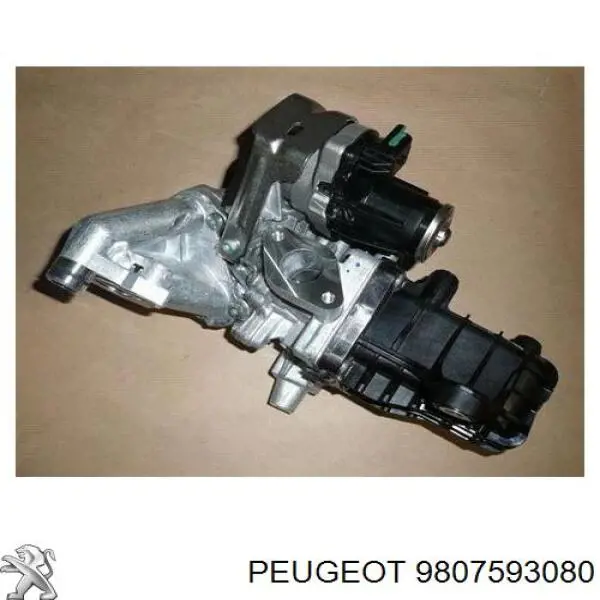 Zawór recyrkulacji spalin EGR Peugeot/Citroen 9807593080 cena, od 195,33 USD