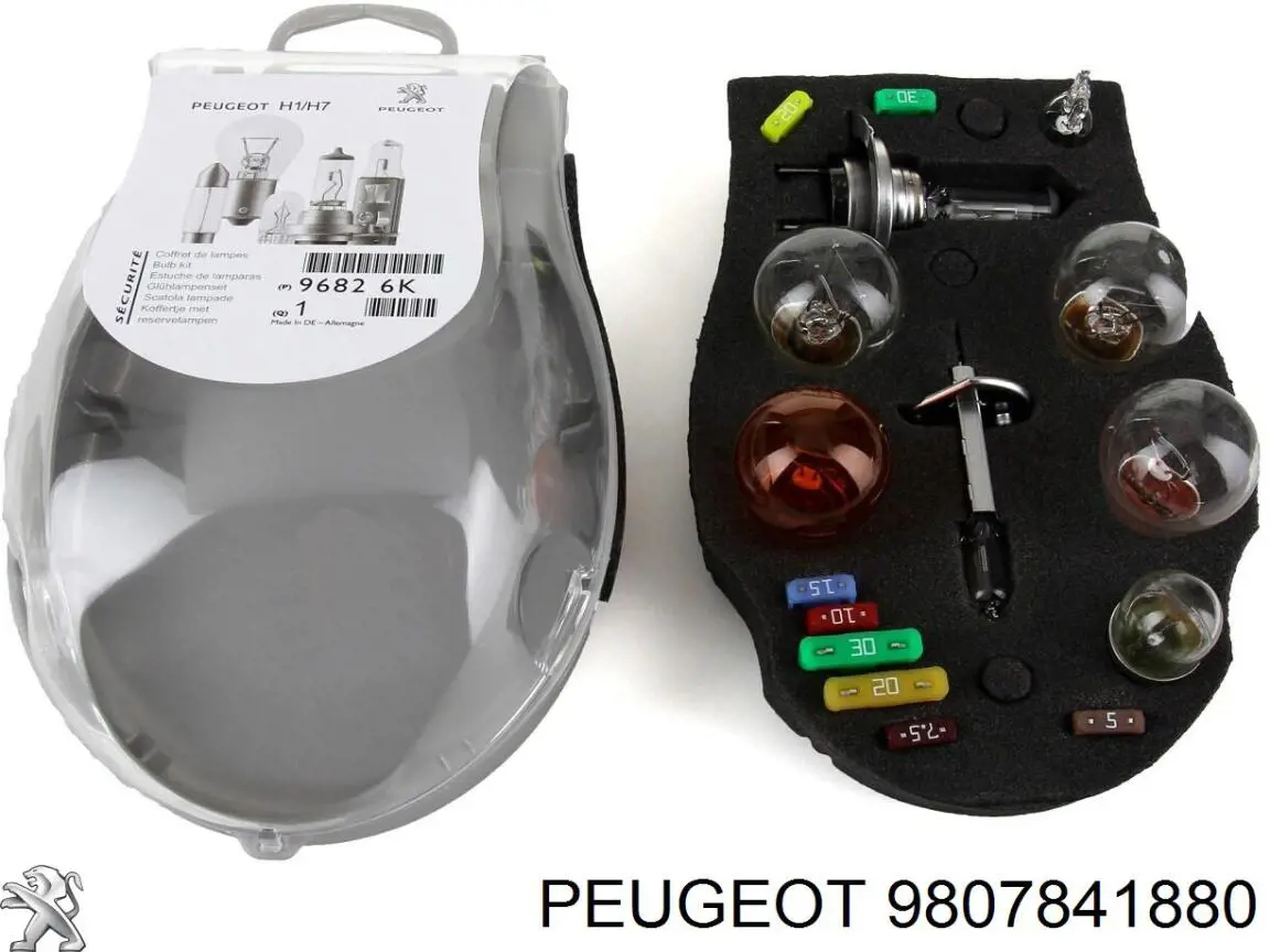 Do koszyka 9807841880 Peugeot/Citroen Cewka zapłonowa