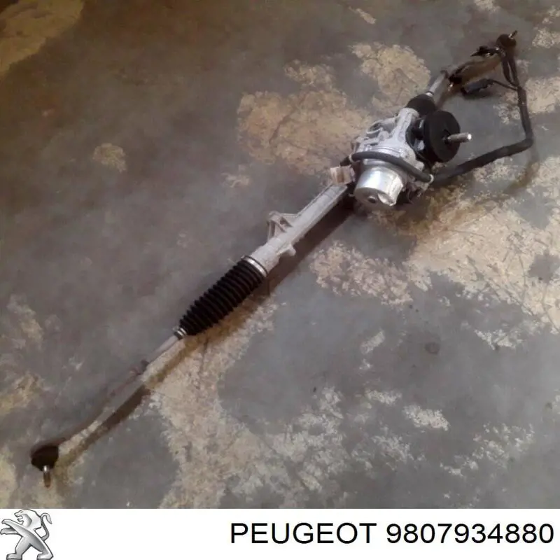 06641600 Lizarte Listwa kierownicza (maglownica)