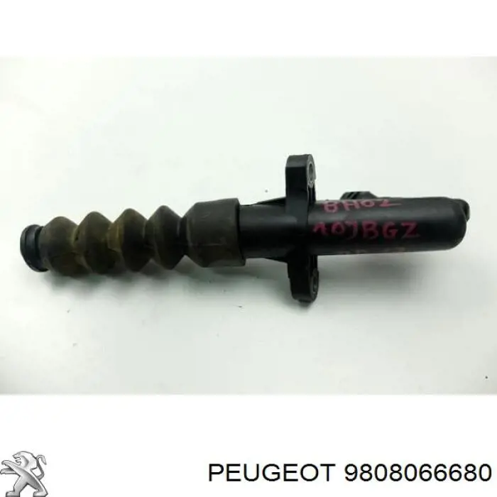  Peugeot/Citroen 9808066680