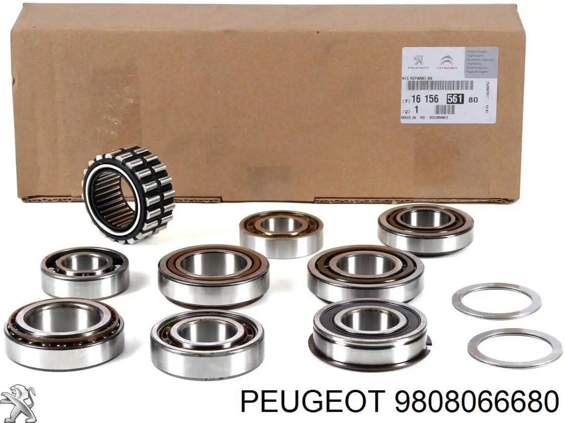 Do koszyka 9808066680 Peugeot/Citroen Cylinder roboczy sprzęgła