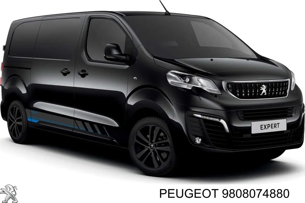 9808074880 Peugeot/Citroen Rolka drzwi bocznych (przesuwnych) prawa środkowa