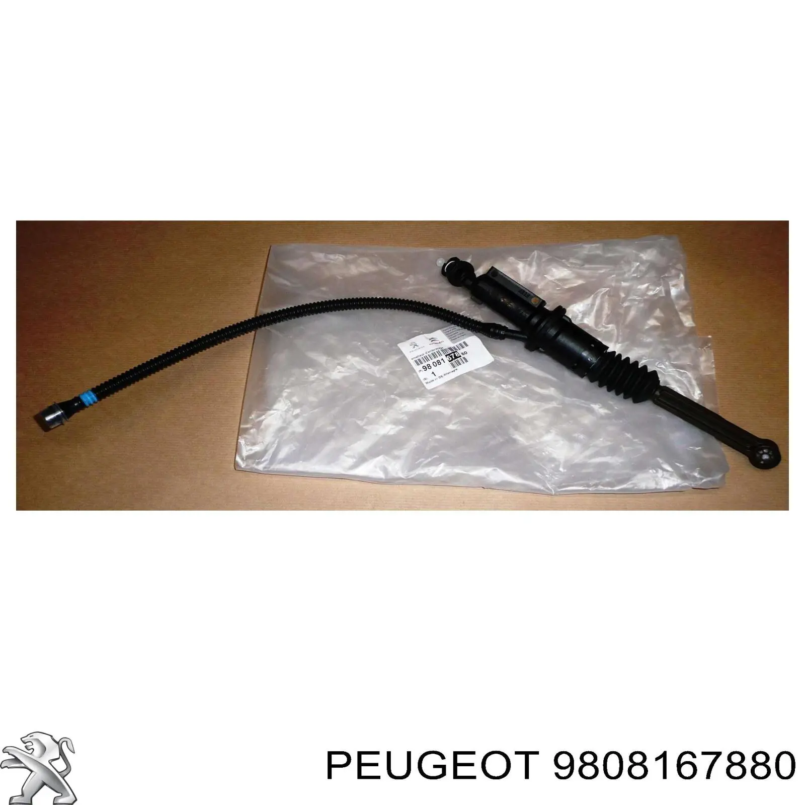 Cylinder sprzęgła główny Peugeot/Citroen 9808167880 cena, od 53,92 USD