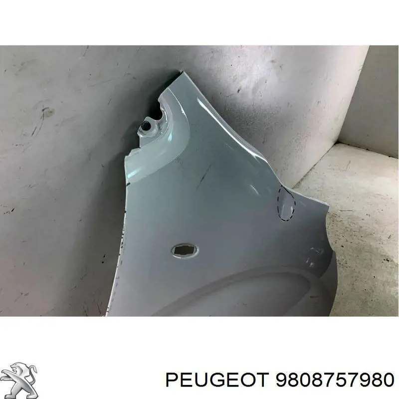 Błotnik przedni prawy Peugeot/Citroen 9808757980