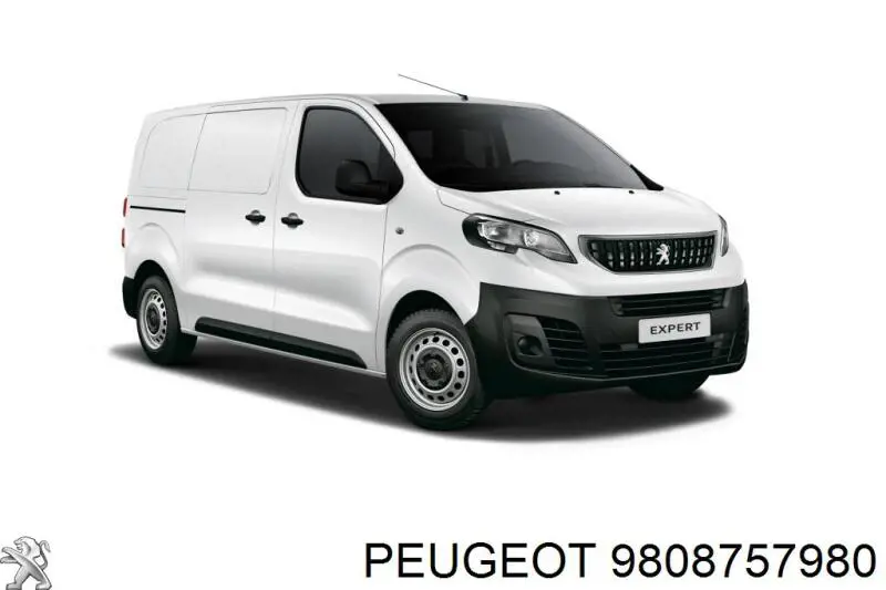 9808757980 Peugeot/Citroen Błotnik przedni prawy